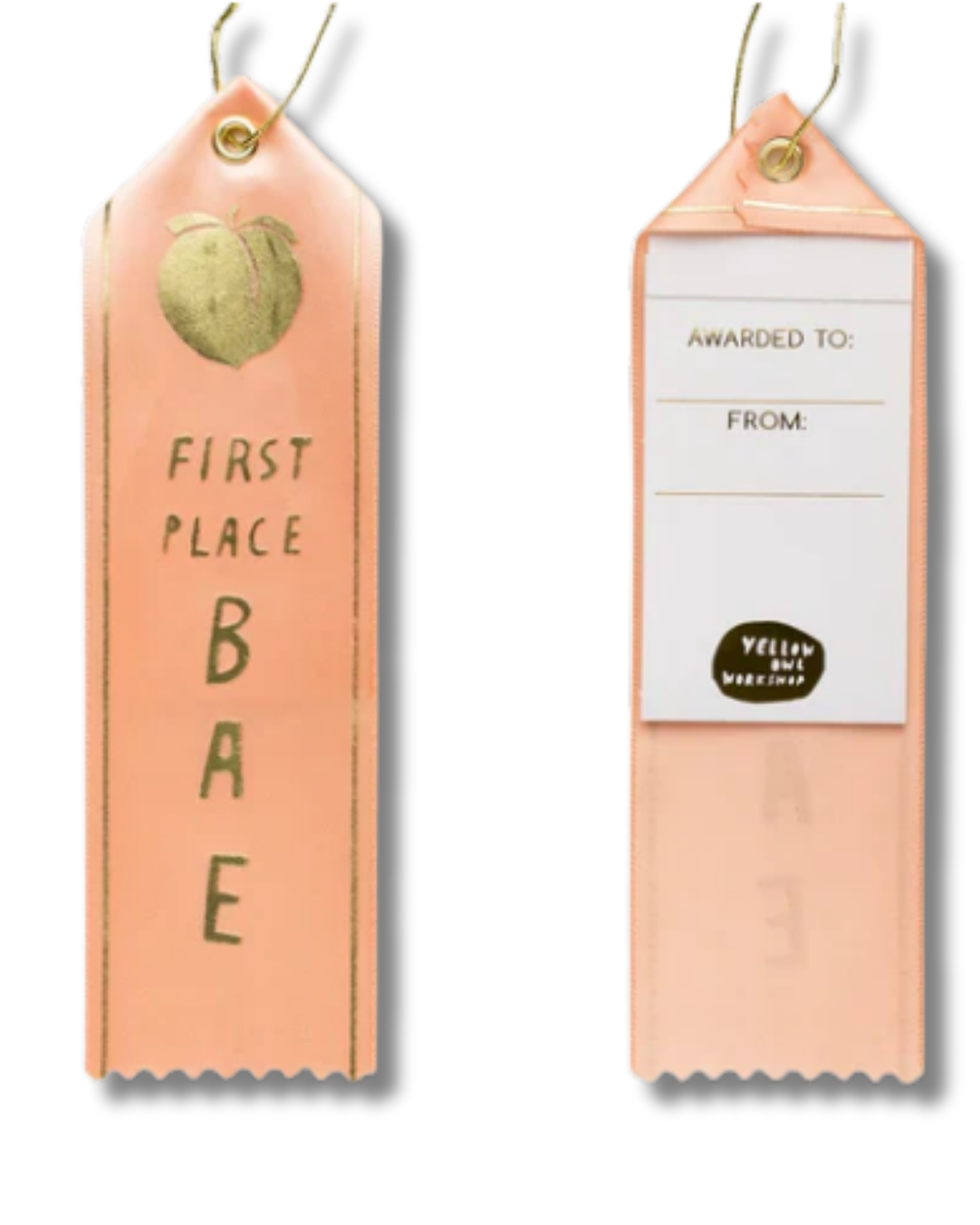 Award Ribbon / Bookmark w Note - First Place BAE