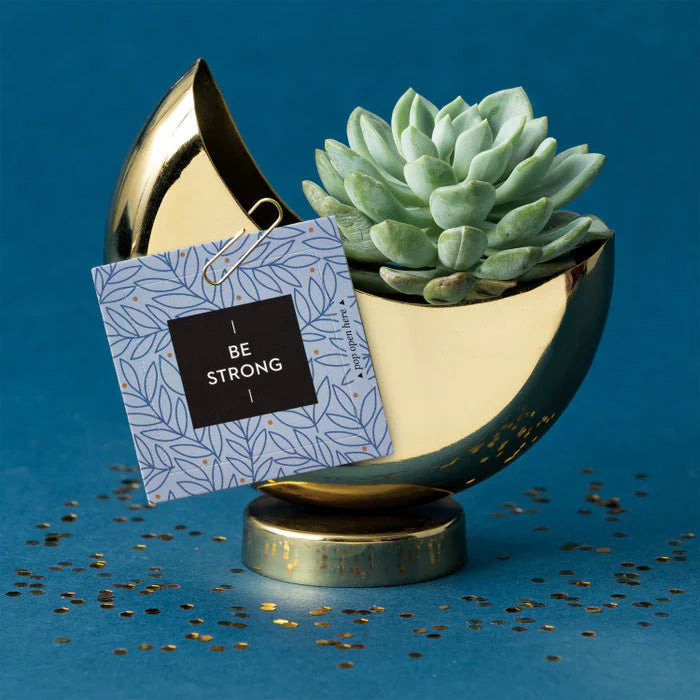 Thoughtfulls - Be Strong