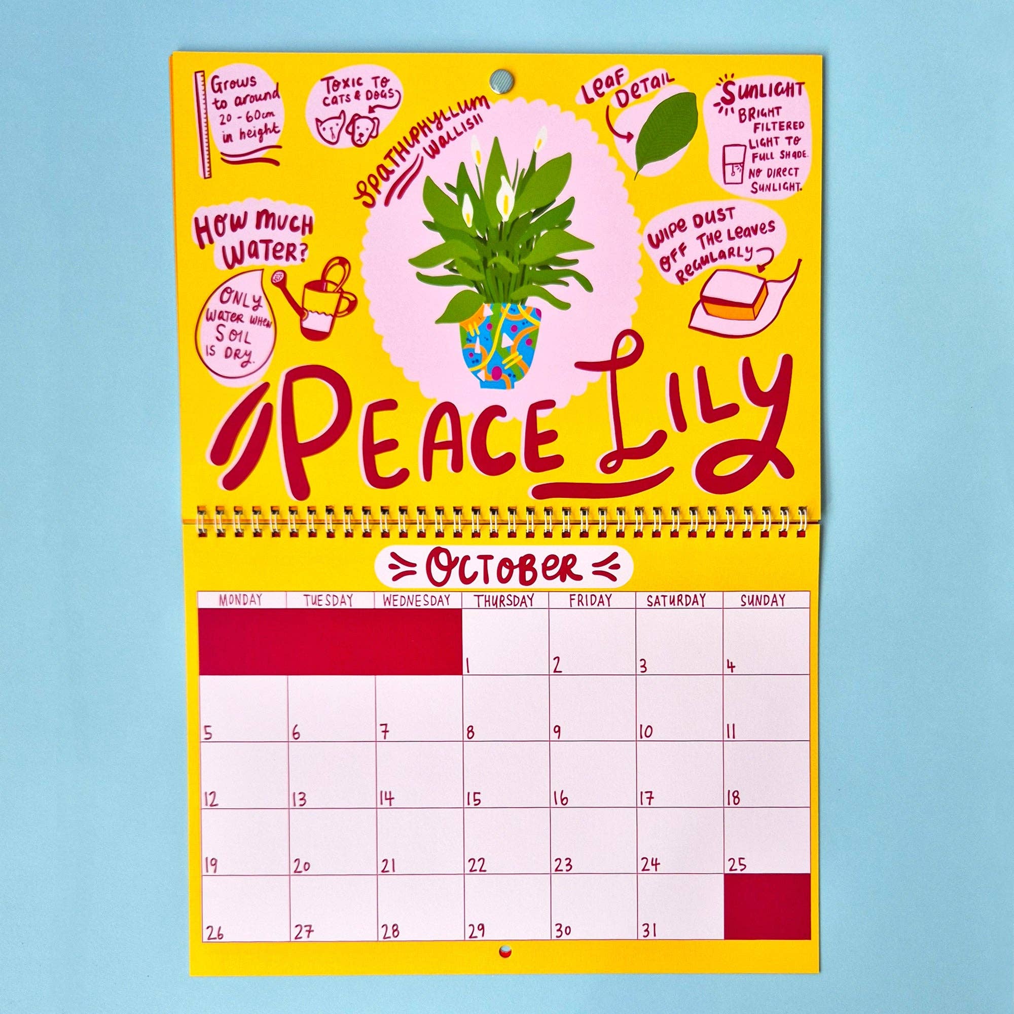 2026 Wall Calendar - House Plant
