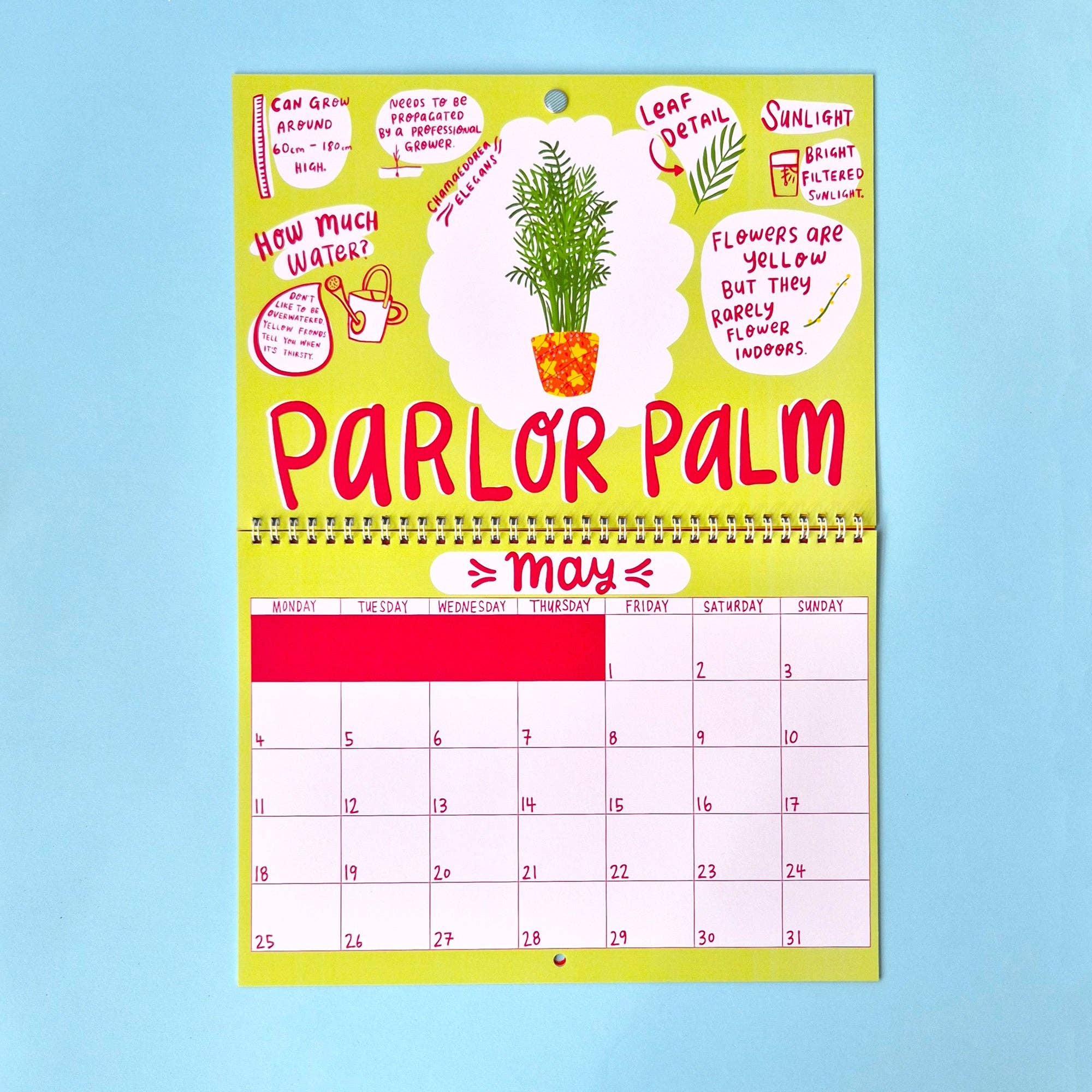 2026 Wall Calendar - House Plant