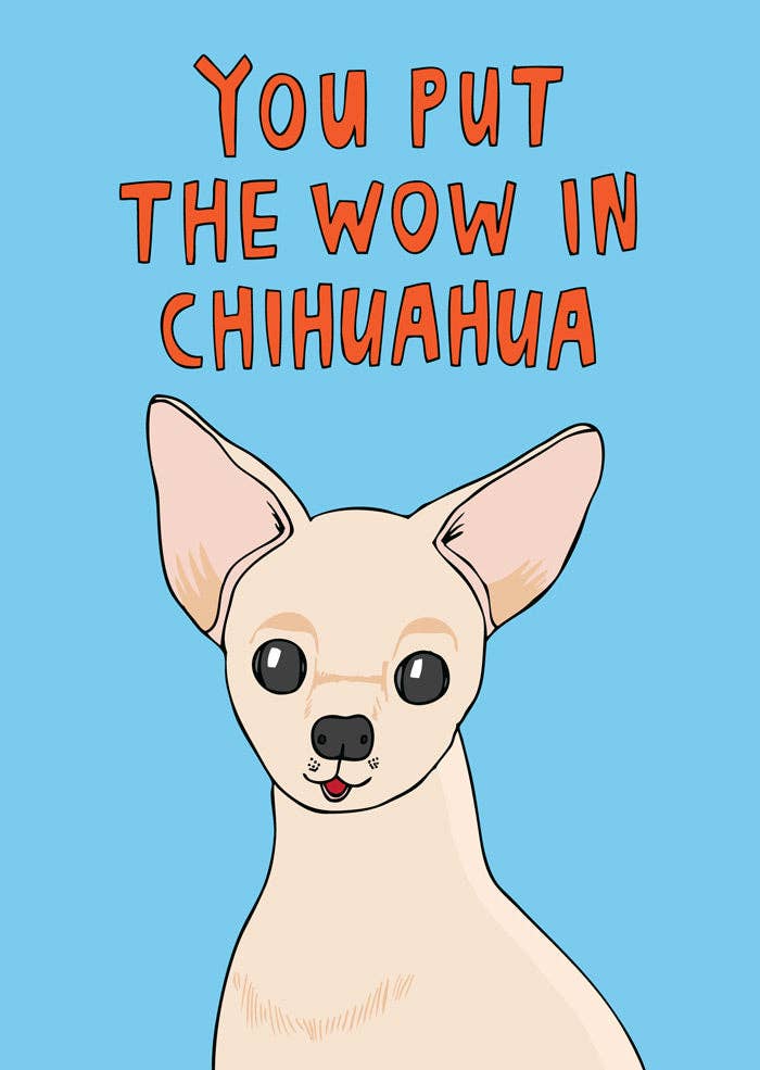 Microfibre Glasses Cleaning Cloth - You Put The Wow In Chihuahua