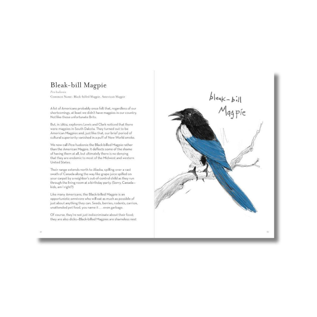 Dumb birds field guide