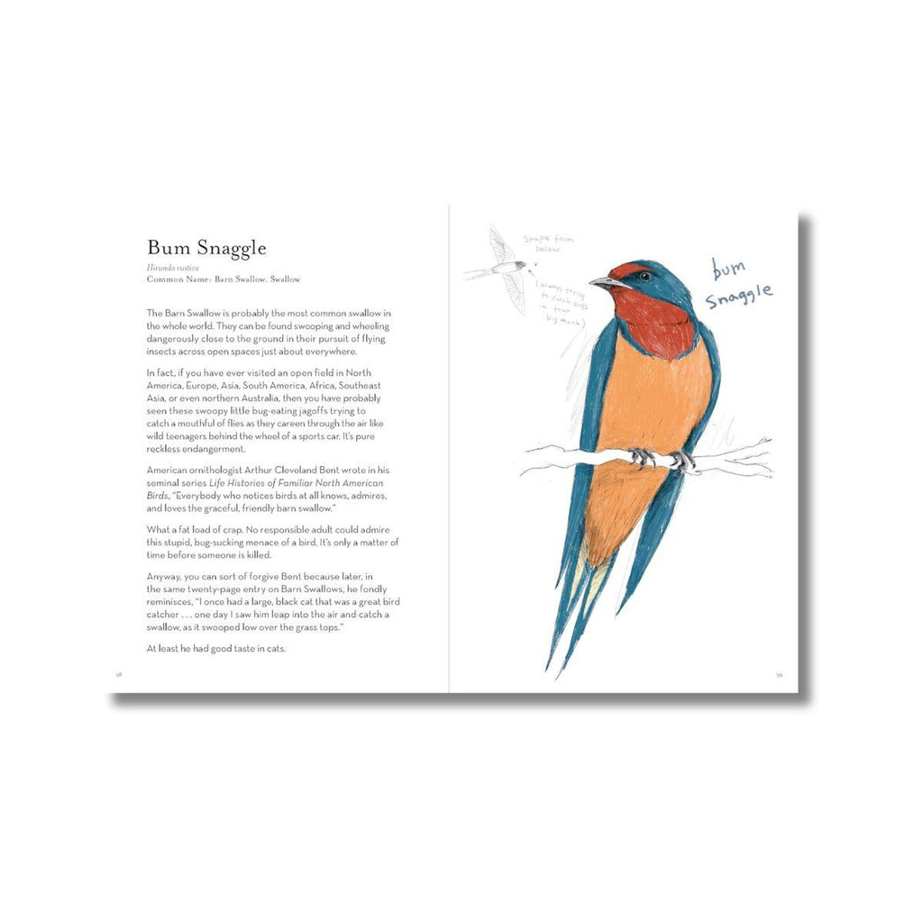 Dumb birds field guide