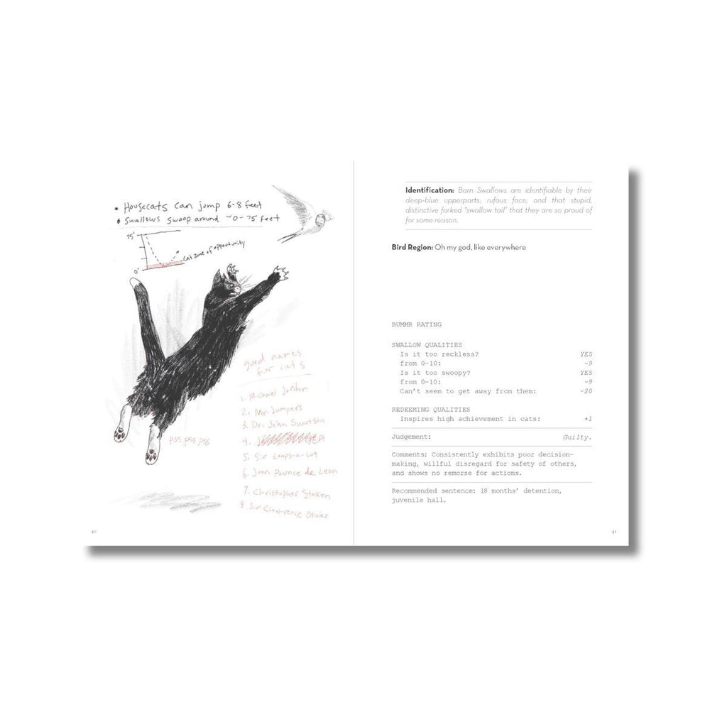 Dumb birds field guide