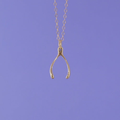 Mini Charming Necklace - Golden Wishbone