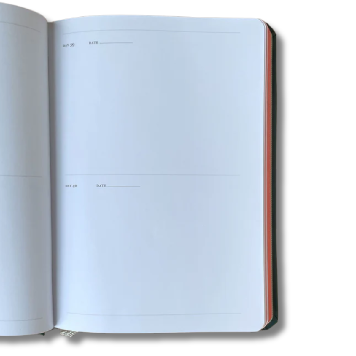 One Sketch a Day: A Visual Journal