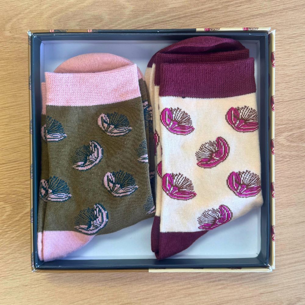 Boxed Set Socks - Pohutukawa