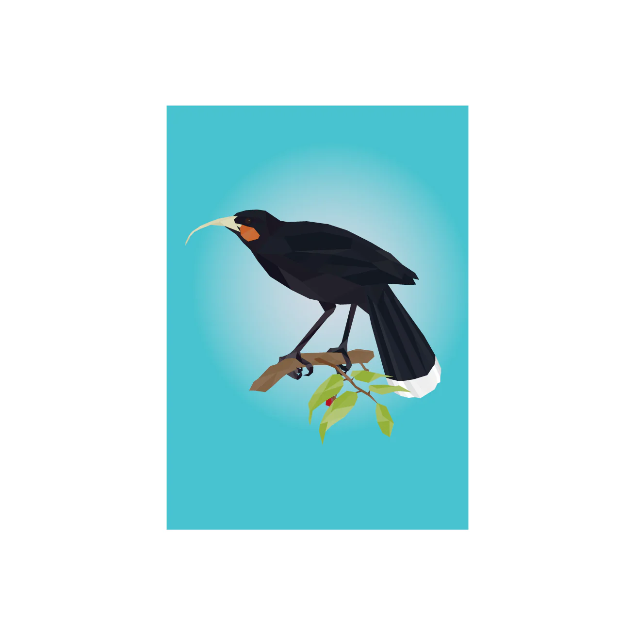 General Card - Huia