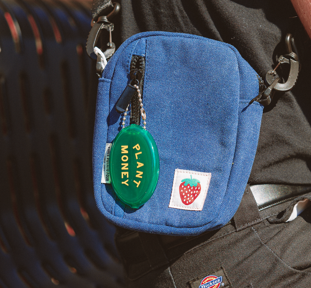 Coin Keyring Pouch - Plant Money (Translucent Green)