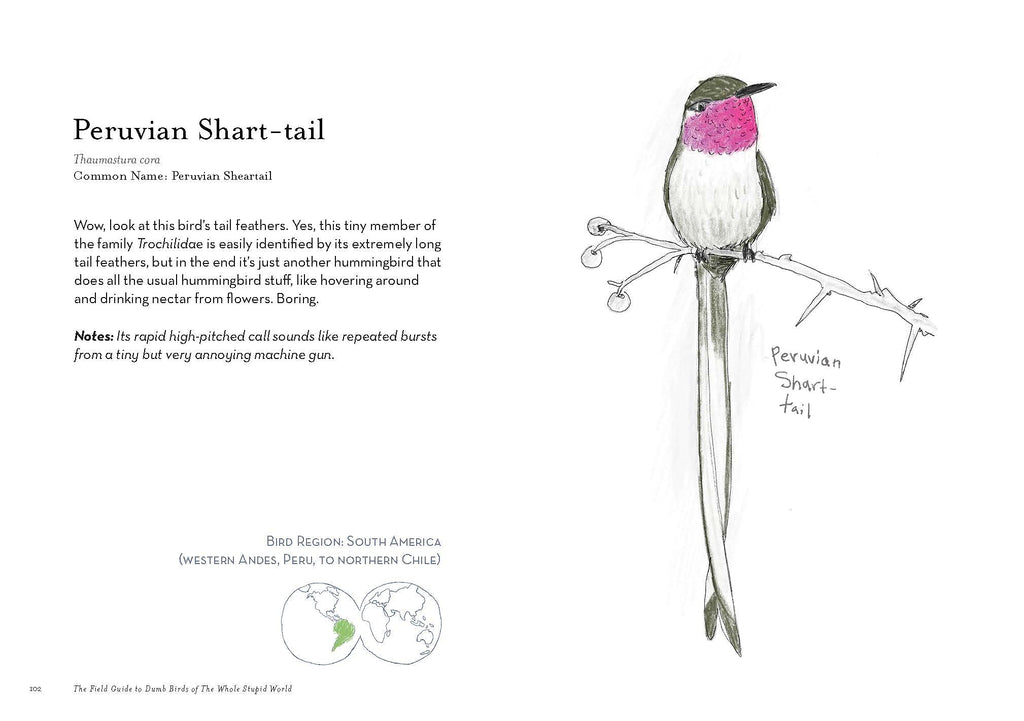 The Field Guide to Dumb Birds of The Whole Stupid World