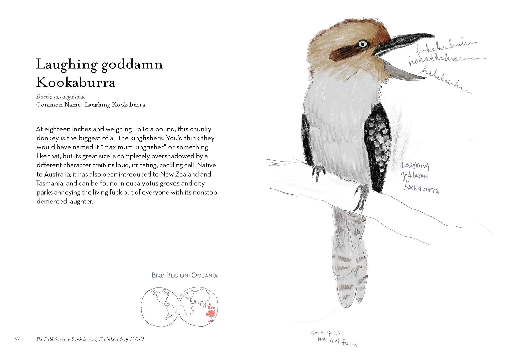 The Field Guide to Dumb Birds of The Whole Stupid World