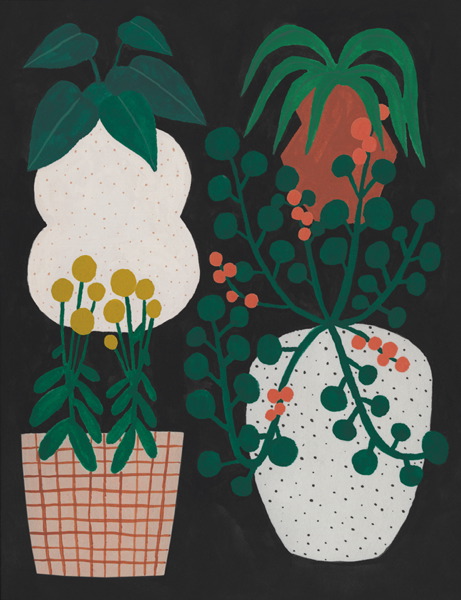 General Card - Indoor Plants